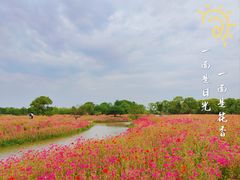 -花开海上生态园