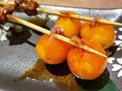 -酒窝烧鸟(科华街店)