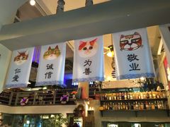 -猫咪博物馆(顶澳仔猫街店)