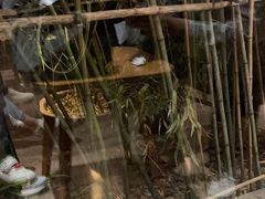 -一叶觅山(半边街店)