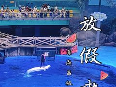 -海合安成都极地海洋公园