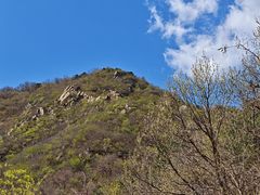-北京鹫峰国家森林公园