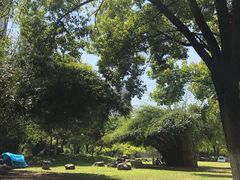 -汉水公园