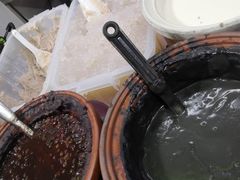 -小草糖水(海棠村店)
