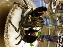 -蟹之国·精品蟹料理(极地店)