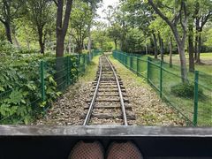-自然谷恐龙园