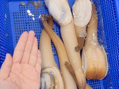 -优食坊·蒸汽海鲜(康盛路店)