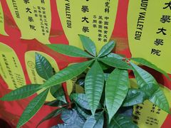 -学习谷日语培训日本留学·多语种外语教学(海淀人大分部)