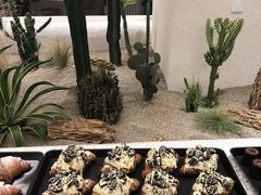 -OUR Bakery(SKP-S店)