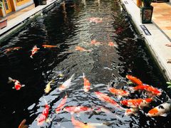 -猪肉婆·德景轩