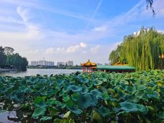 -济南大明湖景区