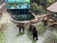 -深圳野生动物园