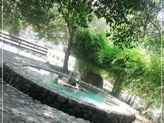 -龙泉山庄