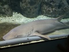 -福州罗源湾海洋世界旅游区