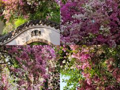 -深圳国际园林花卉博览园