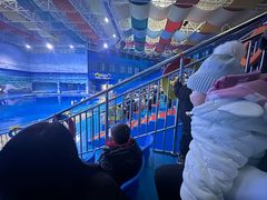 -多彩贵州城极地海洋世界