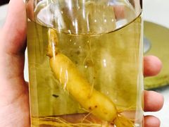 -宝发园名菜馆