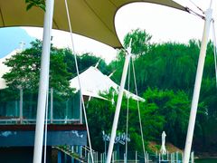 -帐篷客·溪龙茶谷度假酒店