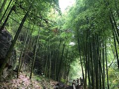 -藏龙百瀑风景区