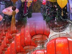 -正佳雨林生态植物园