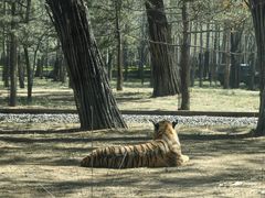 -秦皇岛野生动物园