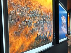 -罗红摄影艺术馆