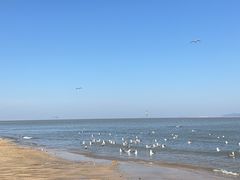 -宾朋海鲜饭庄(兴海路店)