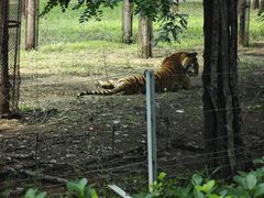 -秦皇岛野生动物园