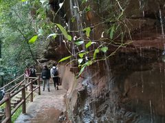 -赤水丹霞旅游区·佛光岩