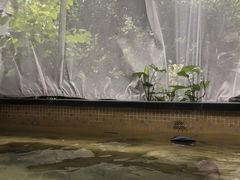 -海口观澜湖火山温泉谷