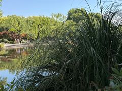 -星巴克(西湖天地店)