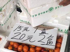-重振华中蔬菜批发市场(重庆中路店)