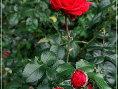 -贵阳市花溪国家城市湿地公园