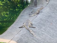 -无锡动物园·太湖欢乐园