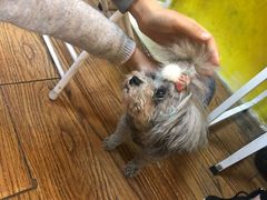 -志龙皇冠吃货椰子铺