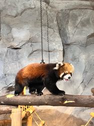 -Zoolung Zoolung动物主题公园(海信广场店)