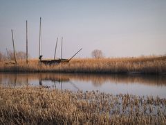 -苏州太湖湖滨国家湿地公园