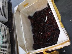 -北京清河镇农副产品交易市场中心