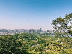 -苏州上方山国家森林公园