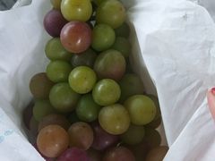 -马陆小张葡萄园农家乐