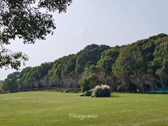 -昆山城市生态森林公园