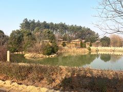 -杏花村文化旅游区