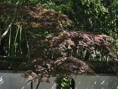 -秋霞圃