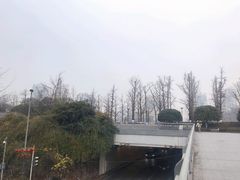 -百林公园-两江幸福广场