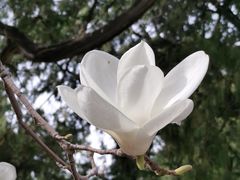 -北京市劳动人民文化宫(太庙)