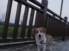 -丹江风景名胜区