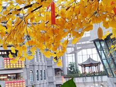 -阿大排档(长春这有山店)