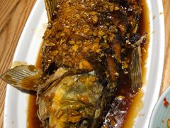 -滇铺子·云南特色菜·第九届野生菌美食节(东风东路c86店)