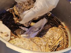 -千岛蚝高压锅生蚝·人参火锅(白云万达店)