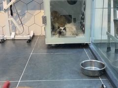 -萌兽医馆·眼科·异宠专科(三里屯店)